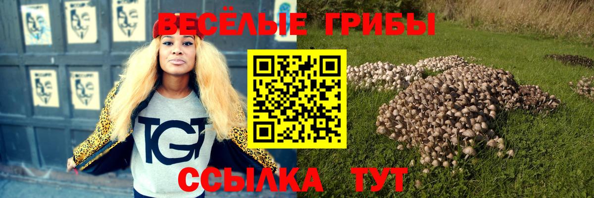 Псилоцибиновые грибы Cubensis Холмск