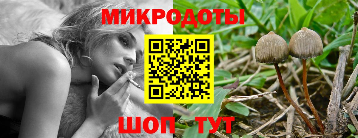 Псилоцибиновые грибы Psilocybe  Псилоцибиновые грибы Cubensis  Вход с VPN  Холмск 