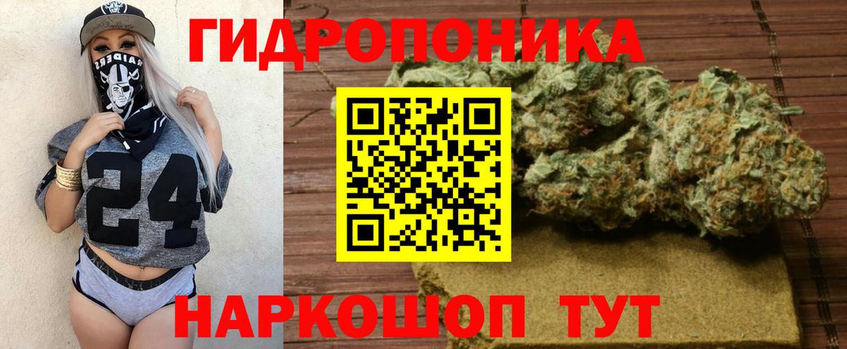 Каннабис сатива  Вход с VPN  Холмск  Шишки марихуана план  Конопля MAZAR 