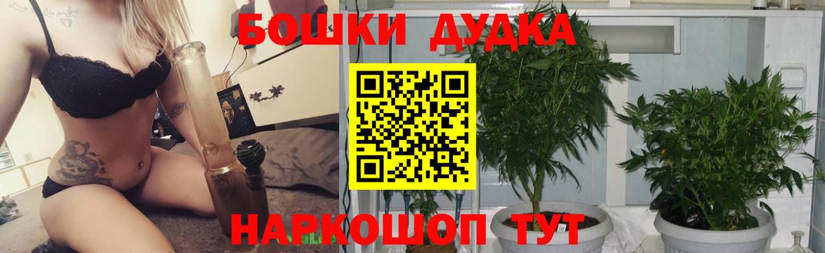 Канабис OG Kush Холмск